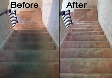 Optus Carpet & Upholstery Cleaning Services Calgary (587)719-2469